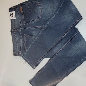Nwt JOE'S JEANS The Rad Jeans Skinny